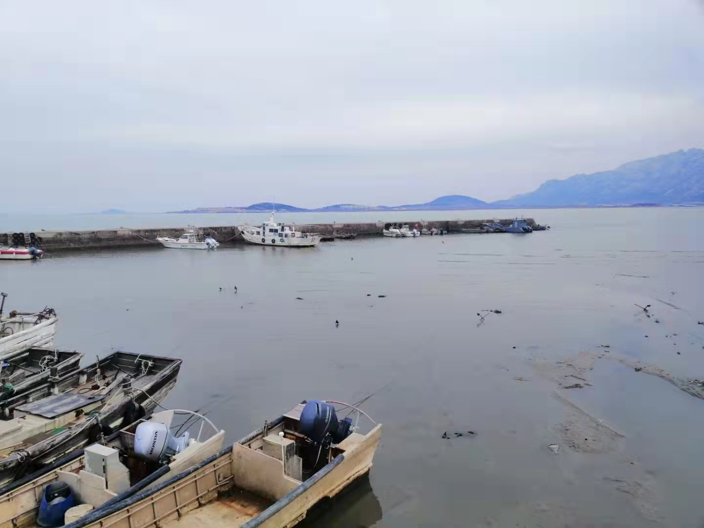 崂山拓展基地_青岛团建企业团队活动定制_一站式团建拓展策划【品牌】-青岛众行远管理咨询有限公司