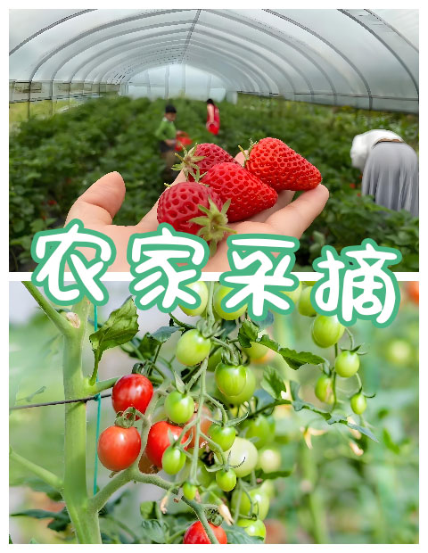 青岛拓展，青岛拓展训练，青岛团建，请致电青岛众行远